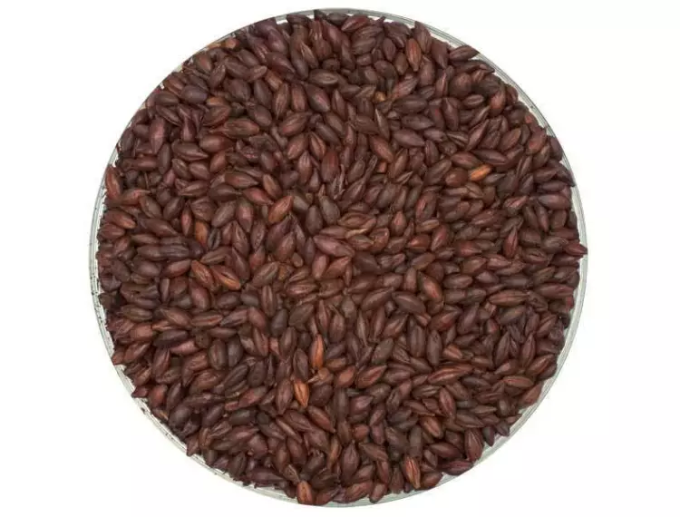 Irish Porter Malt Kiti