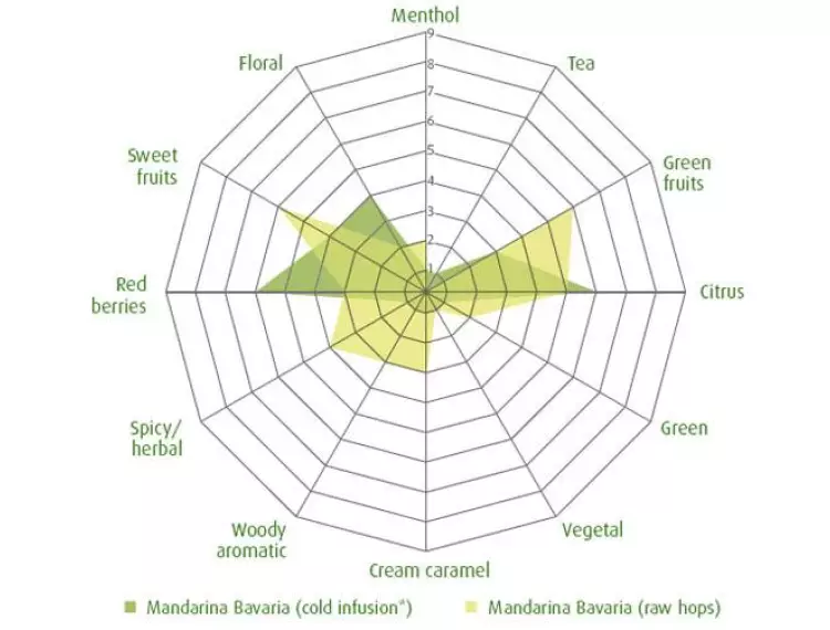 Mandarina Bavaria Şerbetçi Otu