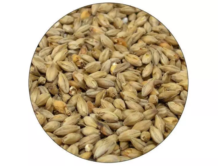 Citra Pale Malt Kiti