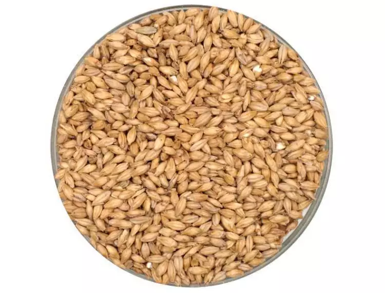 Sierra Newada Pale Malt Kiti