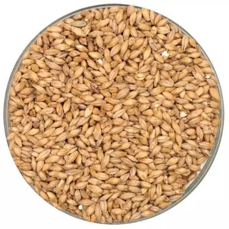 Vienna Malt