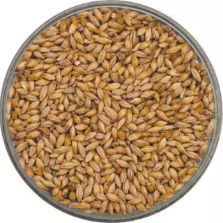 Caramel Pils Malt - 500 gr