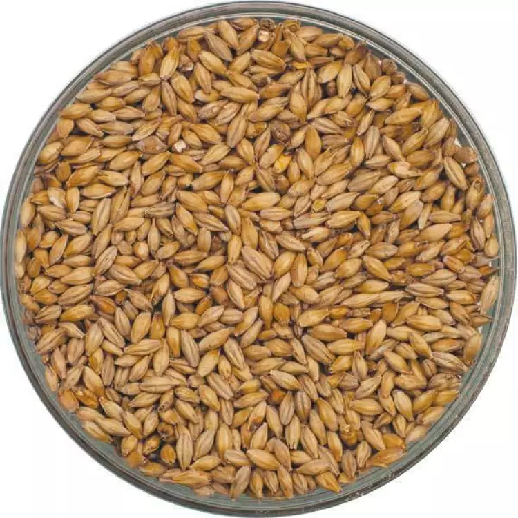 Pilsener Malt