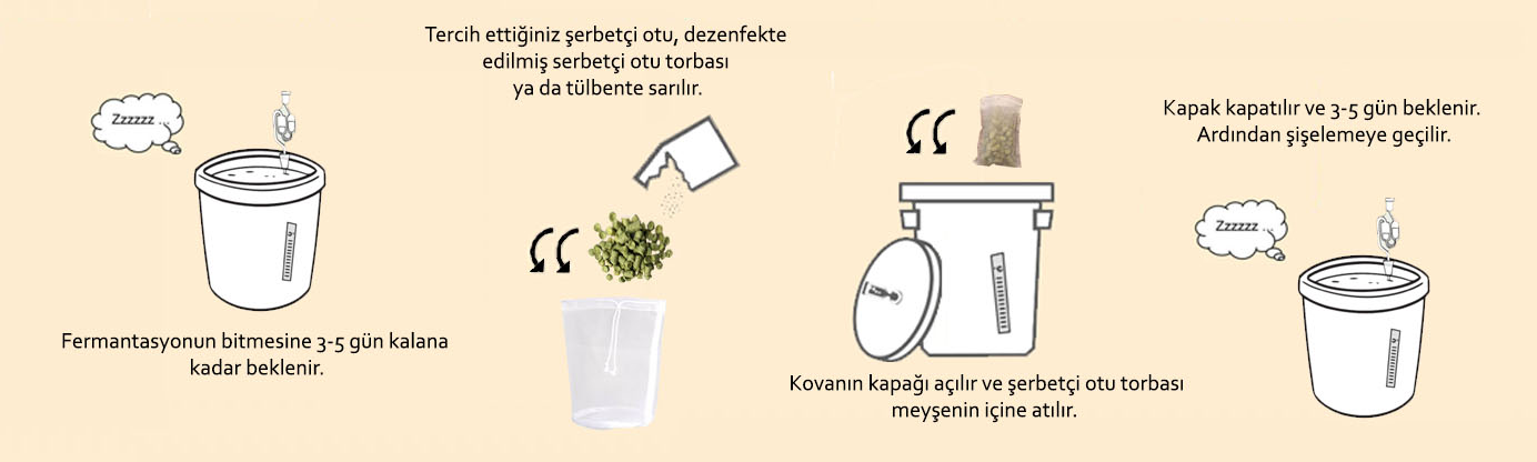 Dry Hop Nedir? Nasıl Yapılır?